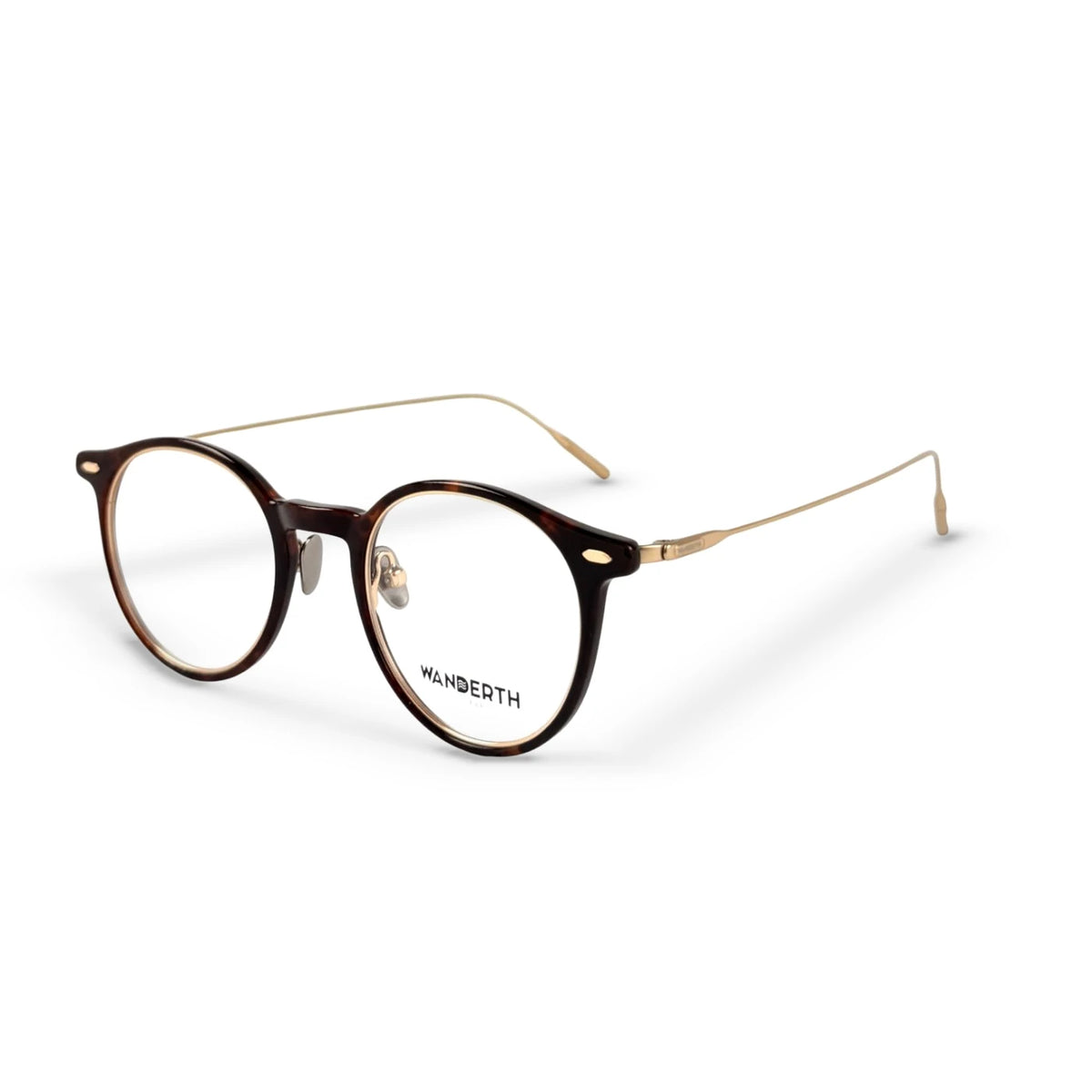 Montura Acetato y TR90 1070 - Negro · Transparente · Dorado