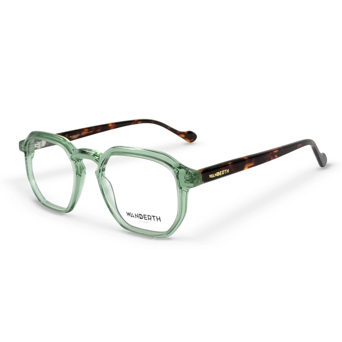Montura Acetato y TR90 25040 - Verde