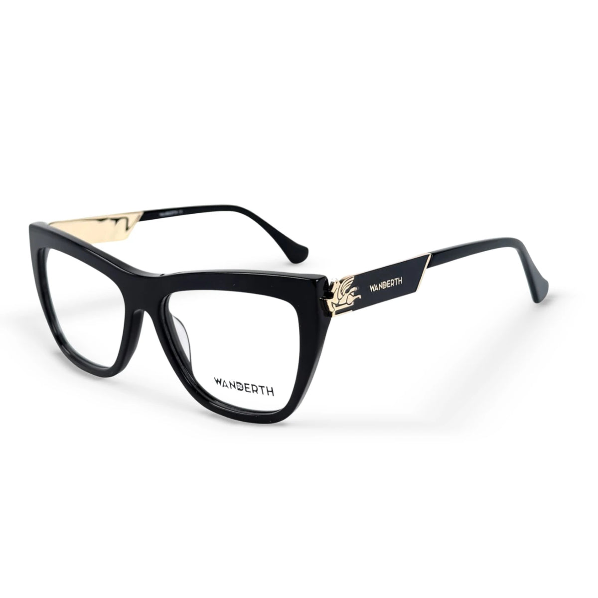 Montura Acetato y TR90 ETRO0032 - Negro